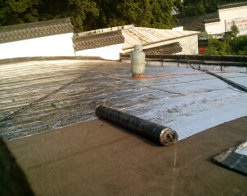 渌口区屋顶防水